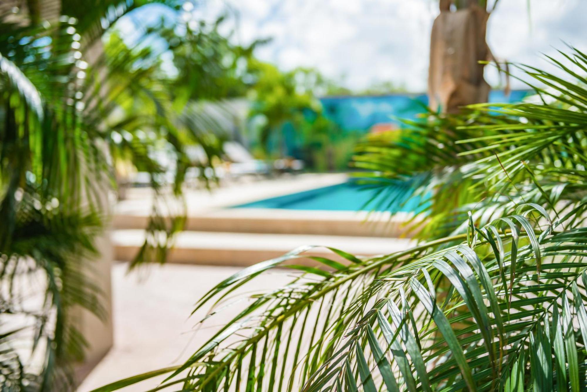 Casita Palma Boutique Resort Кралендейк Екстер'єр фото